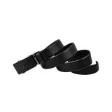 Ремень Ego Favorite Р51061 черный